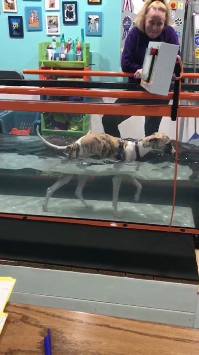 Xanax Addiction Treatment CenterGold Hill OR